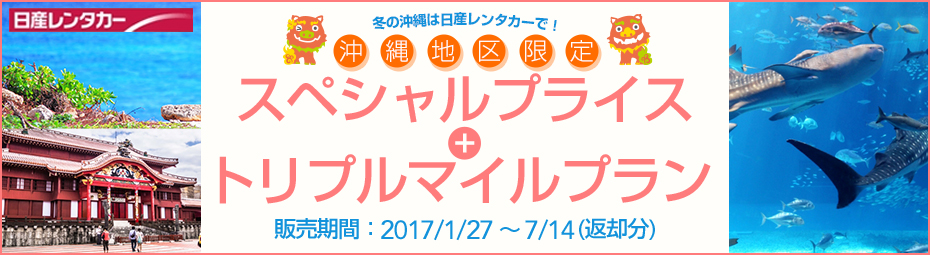 【沖縄地区限定】スペシャルプライス+トリプルマイルプラン(免責補償込み)!