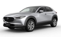 [代表車種]　CX-30、ヤリスクロス（ハイブリット）など
