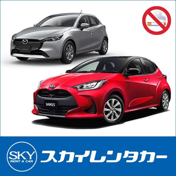 スカイレンタカー那覇空港店『免責補償料込みだから安心プラン♪【禁煙車】カーナビ・バックモニター 標準装備』