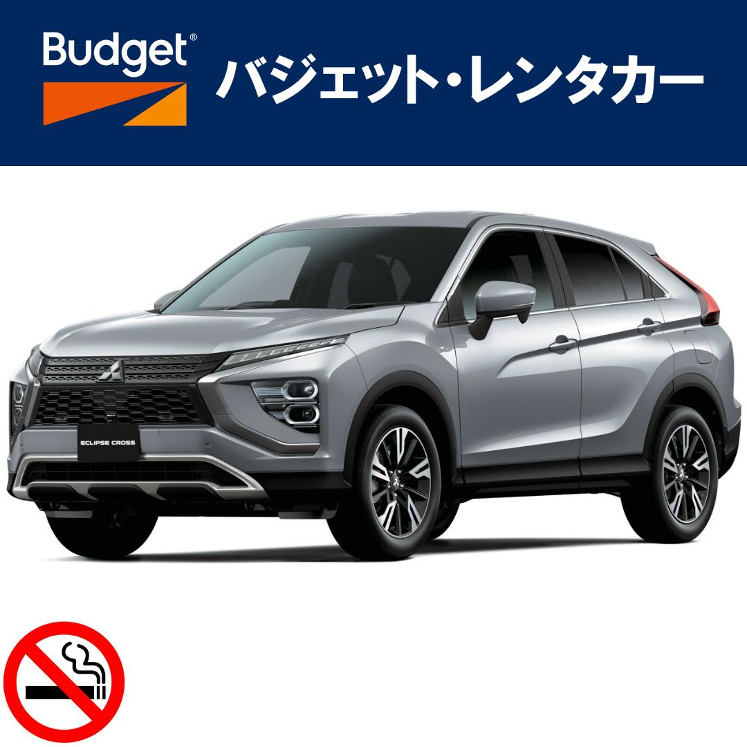 バジェットレンタカー新山口駅前店『【バジェットレンタカー】特別プラン（山口）25』